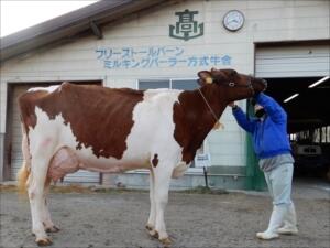 エクセレントを獲得したローマ号