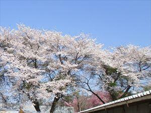 広がる青空