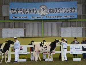 ミント号の審査の様子