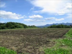 梅雨の晴れ間