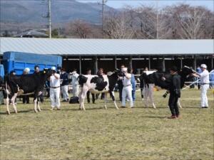 群馬県ブラックアンドホワイトショウ