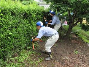 刈り込み-1 刈り込み-1