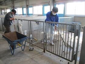 中小動物舎の掃除の様子