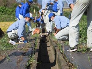 除草頑張ります! 除草頑張ります!