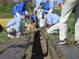 除草頑張ります！