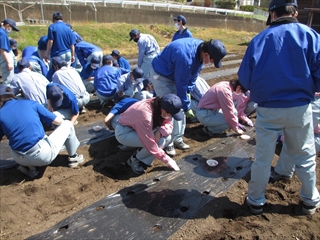 種まきの様子