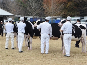 共進会の参加