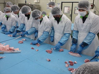 もも肉とうで肉のカット