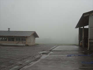 濃い霧で覆われた美野原農場