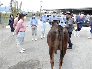 和牛の扱い方の指導