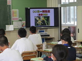 トマト栽培の講義