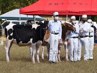 大会の様子