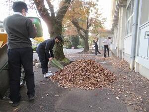 大量の落ち葉