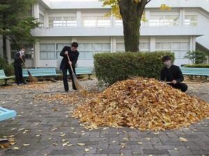 大量の落ち葉