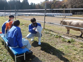 クイズをしているところ