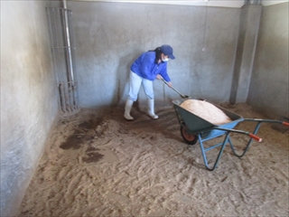 チビの小屋の掃除