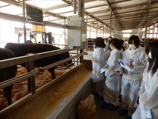 東日本くみあい飼料の見学２