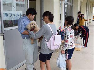 イヌとのふれあい