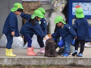 イヌとのふれあい