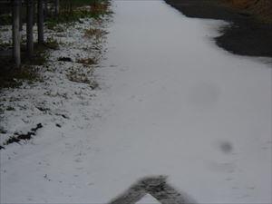 牛舎北側の残雪