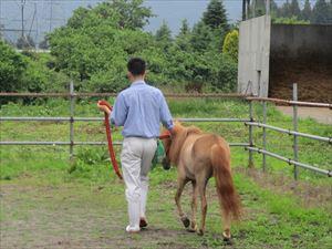 馬場での特訓